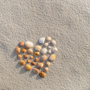 Tara_Rivera_Holistice_Wellness_seashells_beach
